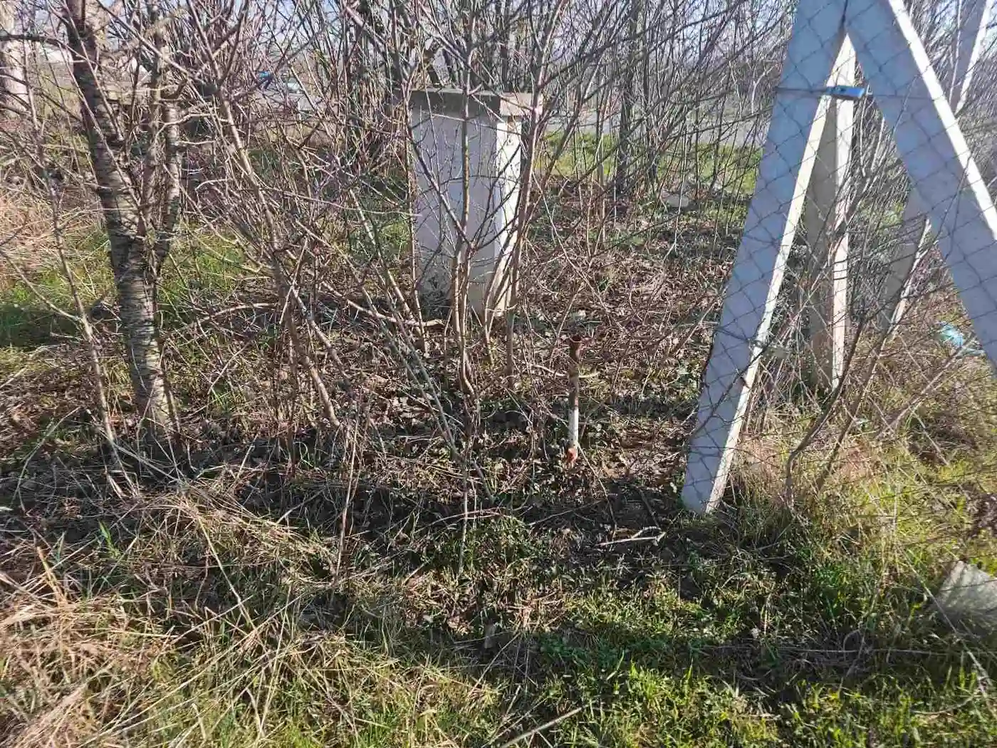 plac na prodaju Begeč 3974m2 565547