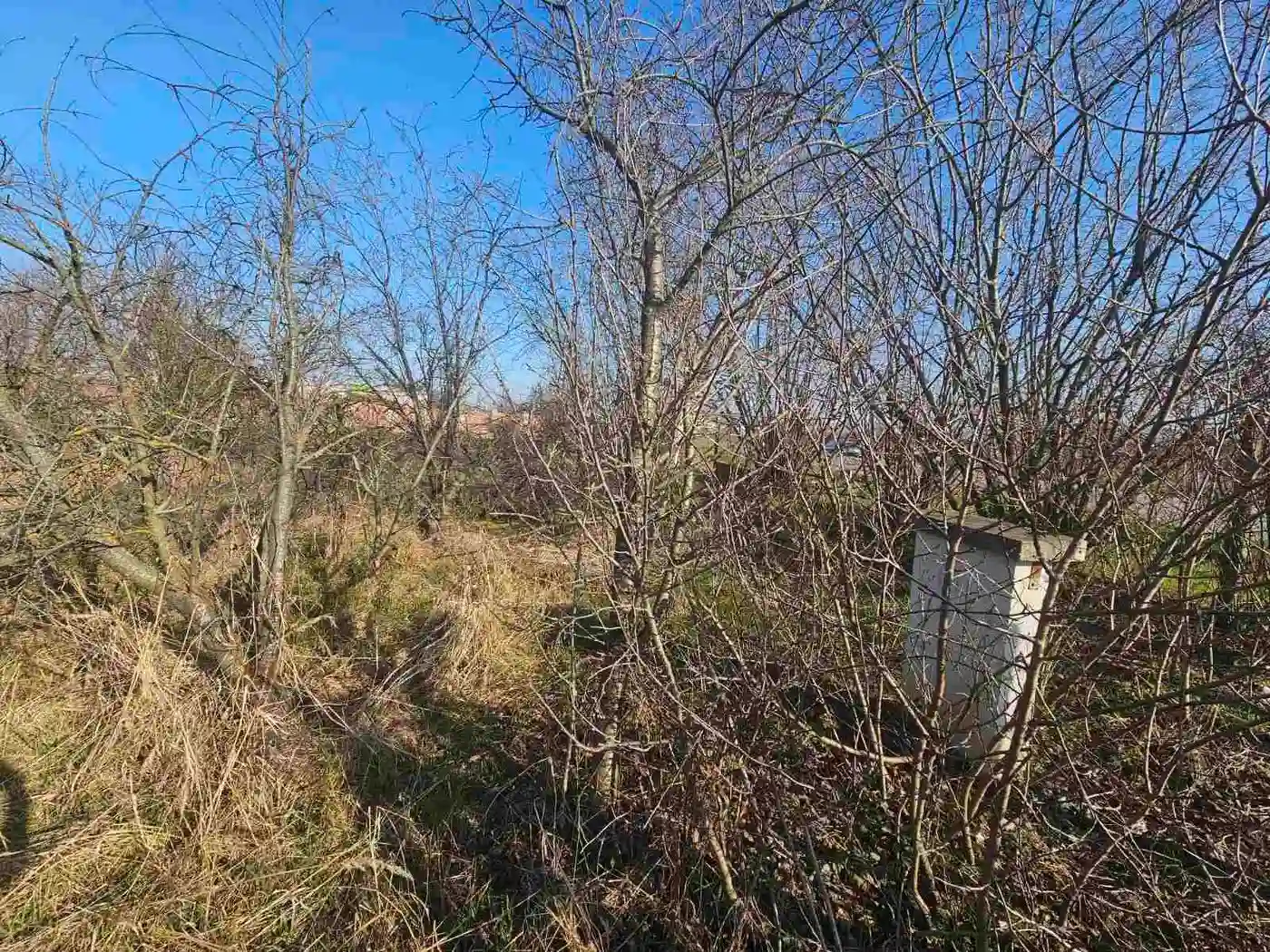 plac na prodaju Begeč 3974m2 565547