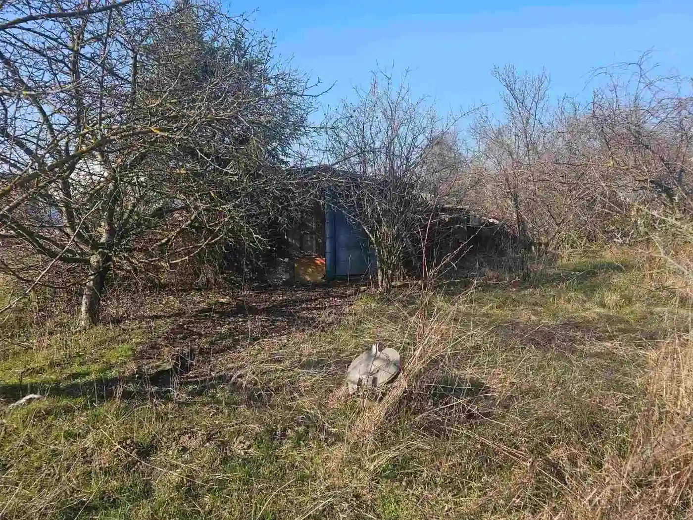plac na prodaju Begeč 3974m2 565547