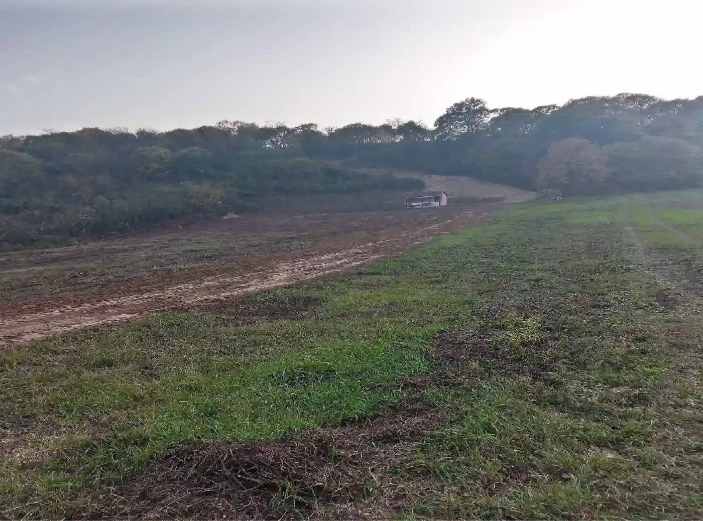 plac na prodaju Čortanovci, 6007m2 565703