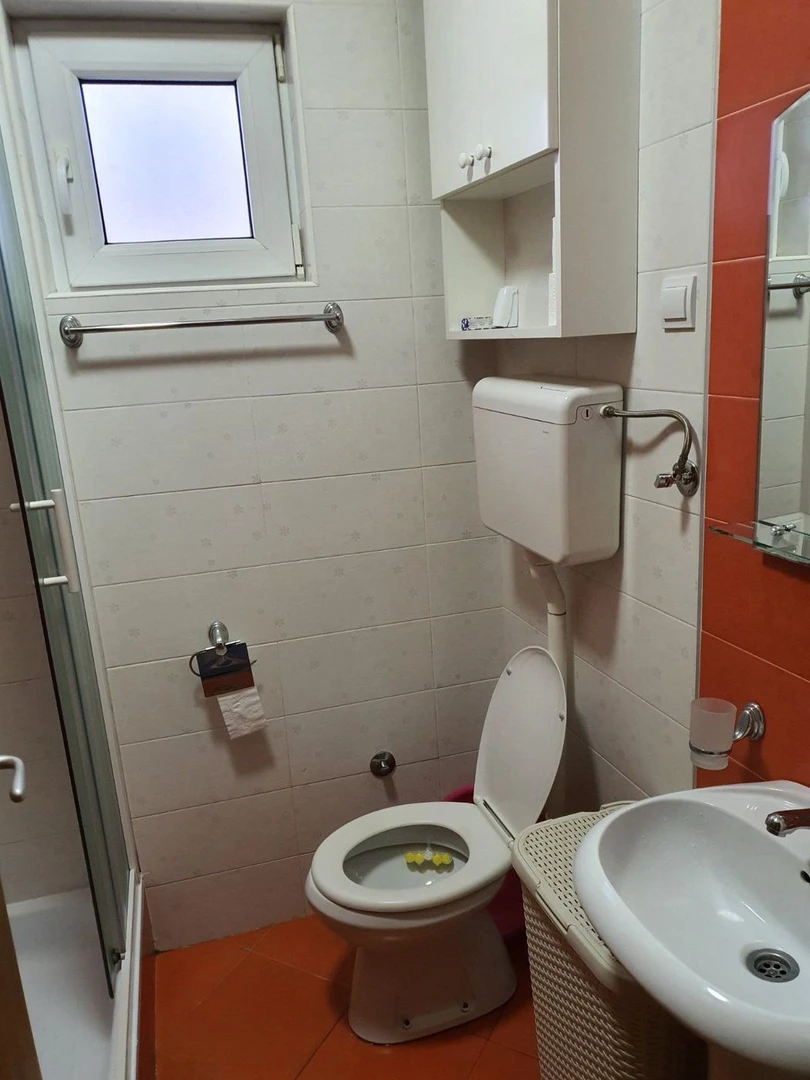 stan na prodaju Novi Sad 40m2 528310