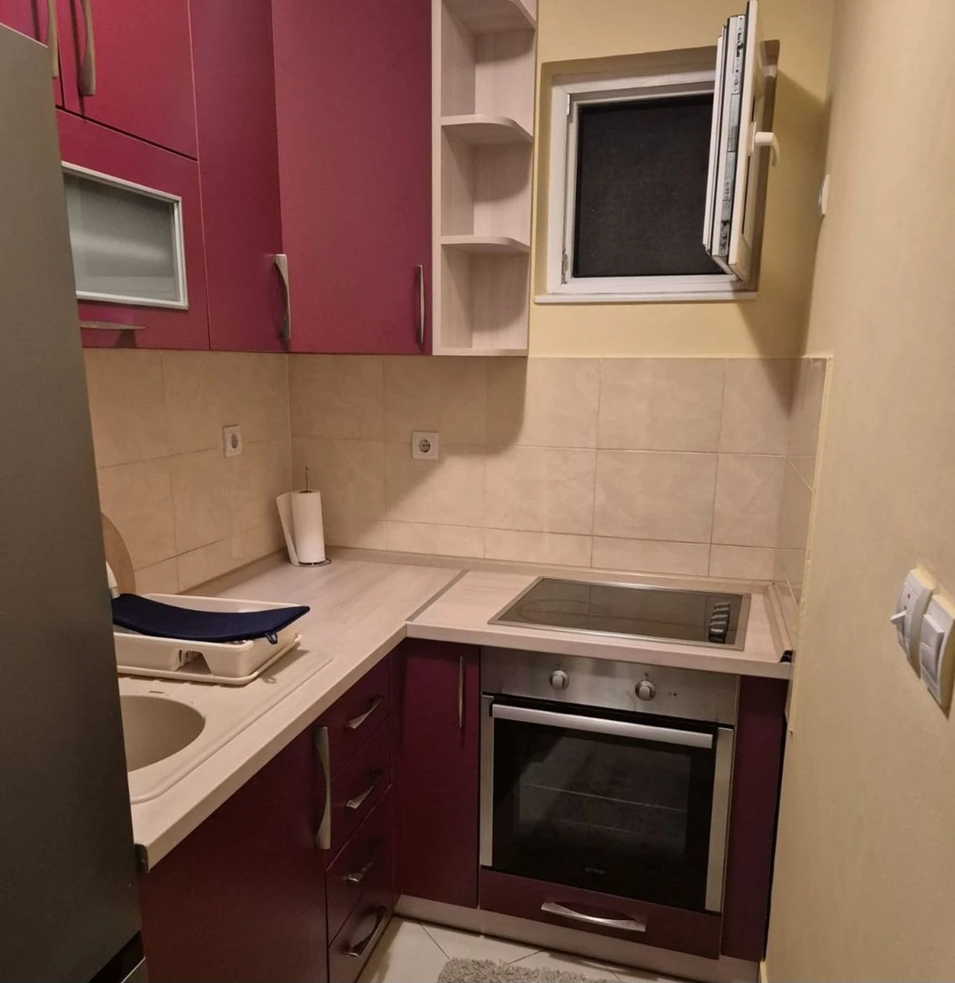 stan na prodaju Novi Sad 40m2 528310