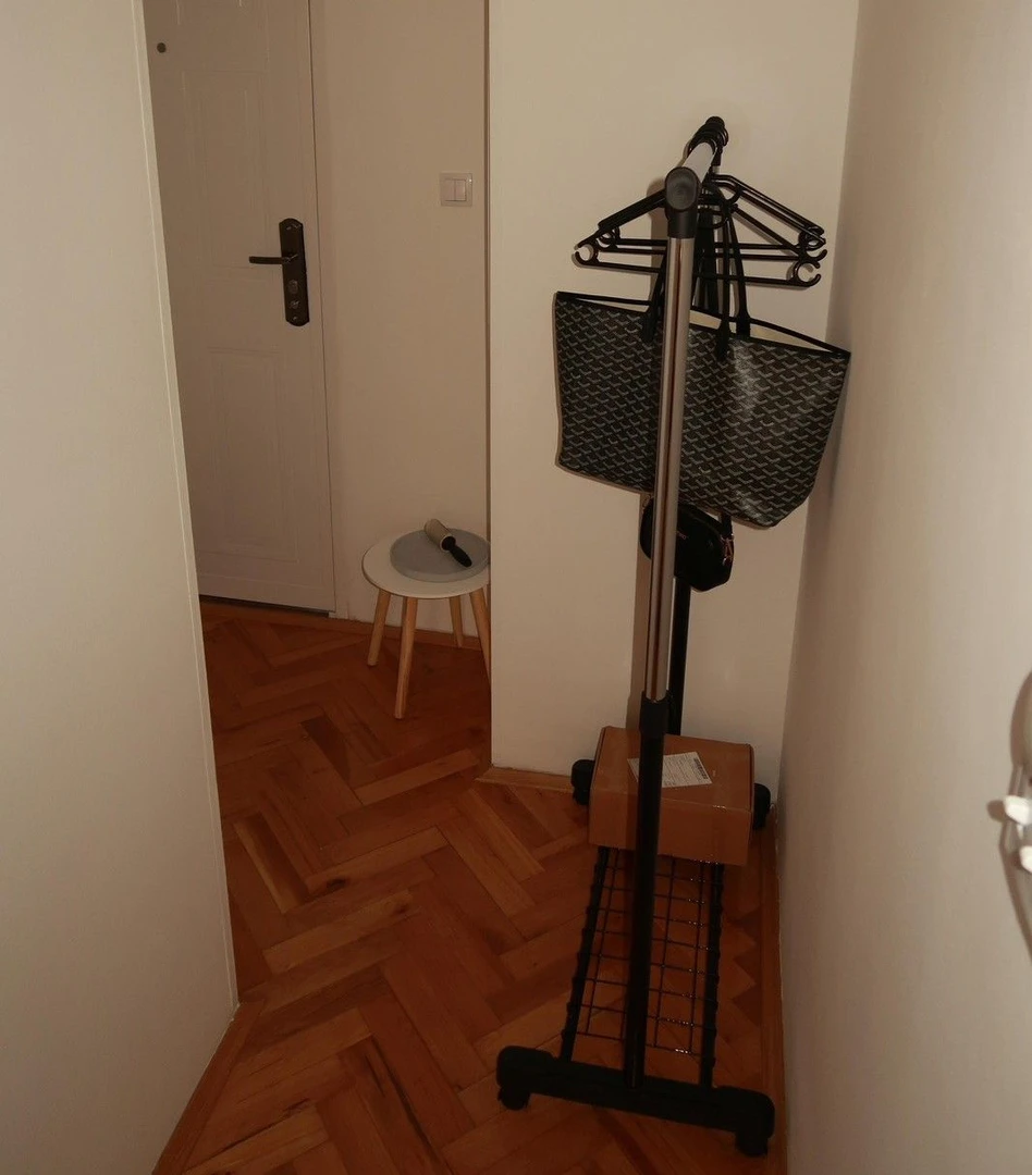 stan na prodaju Novi Sad 20m2 556089