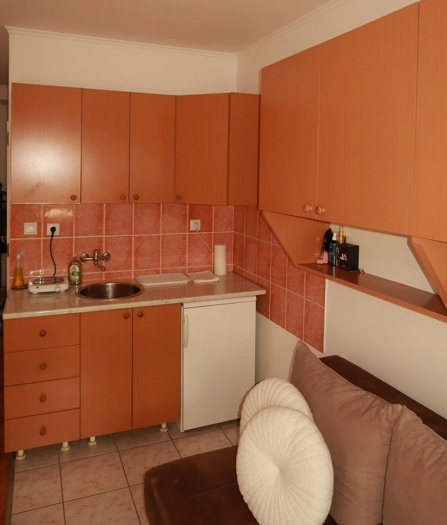 stan na prodaju Novi Sad 20m2 556089