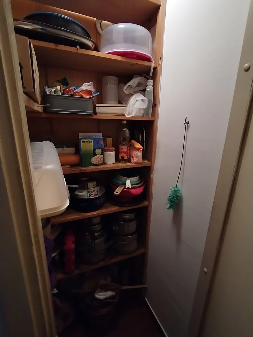 stan na prodaju Novi Sad 80m2 566230
