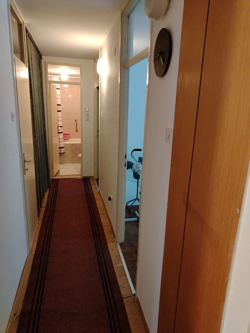 stan na prodaju Novi Sad 80m2 566230