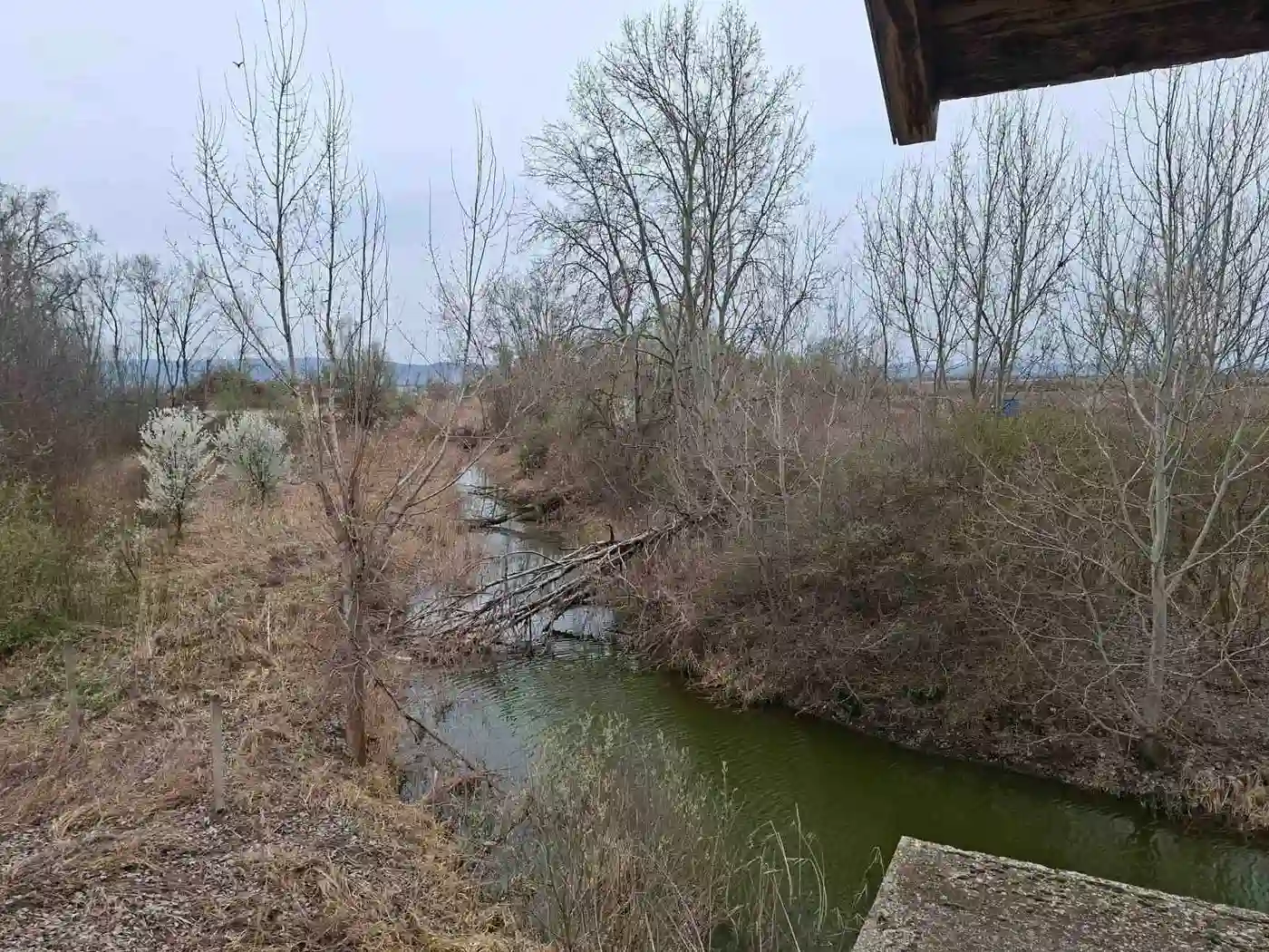 plac na prodaju Futog 32002m2 566340