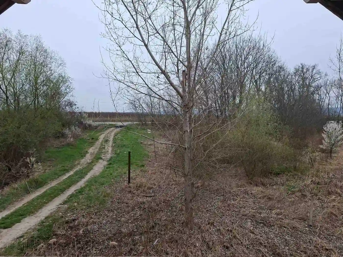 plac na prodaju Futog 32002m2 566340