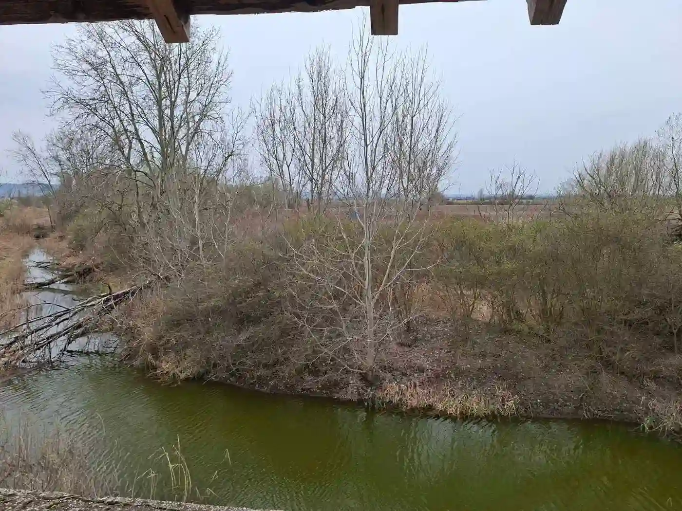 plac na prodaju Futog 32002m2 566340