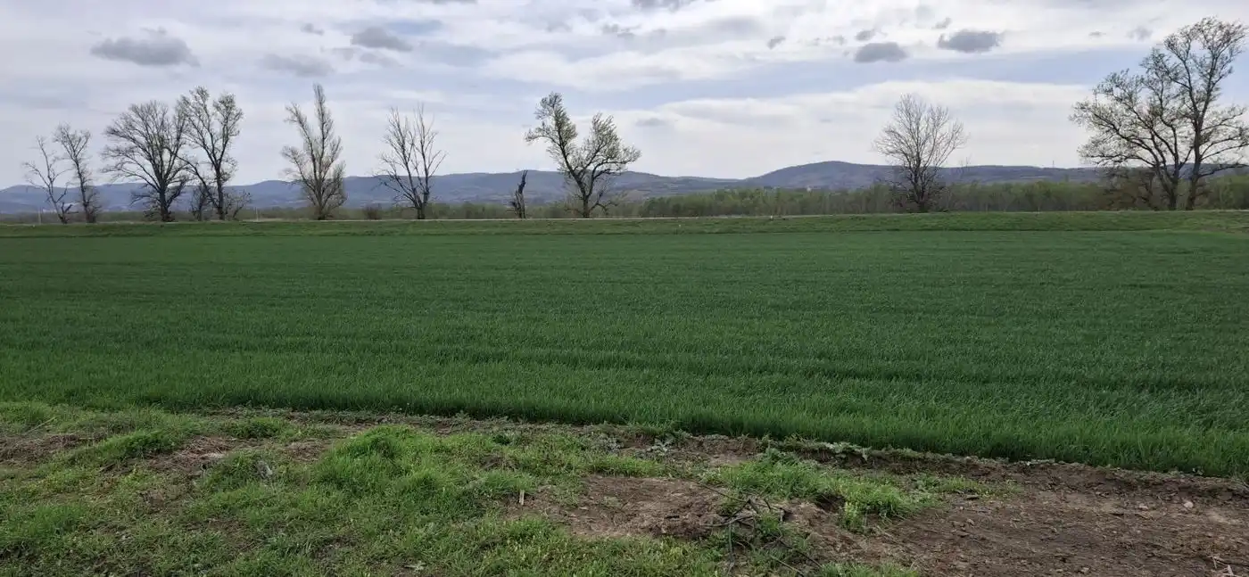 plac na prodaju Futog, 5434m2 566446