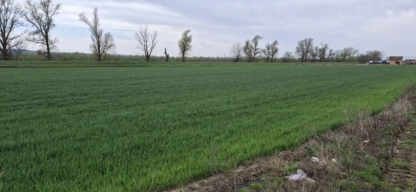 plac na prodaju Futog, 3974m2 566445