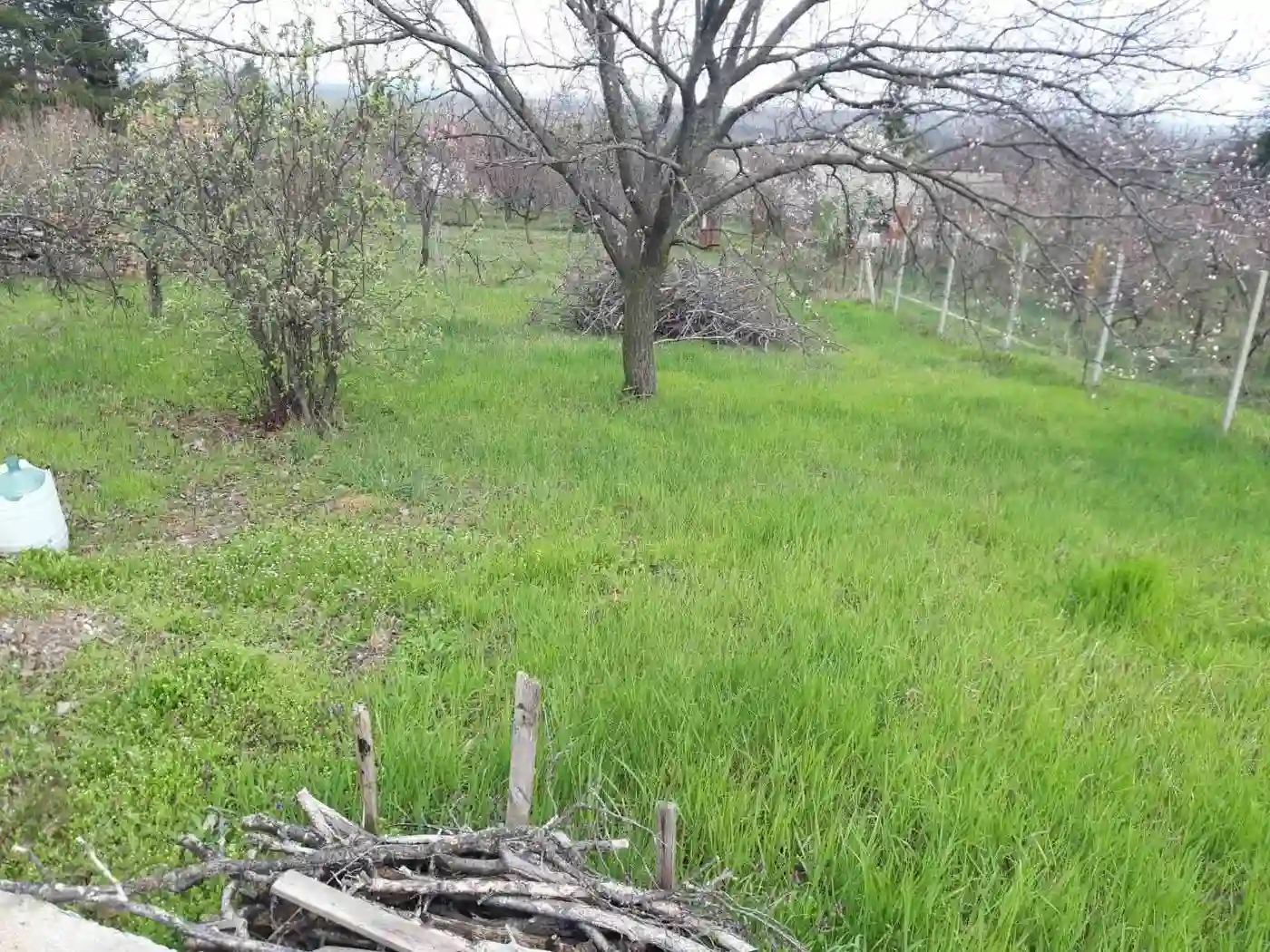 plac na prodaju Petrovaradin 895m2 566472