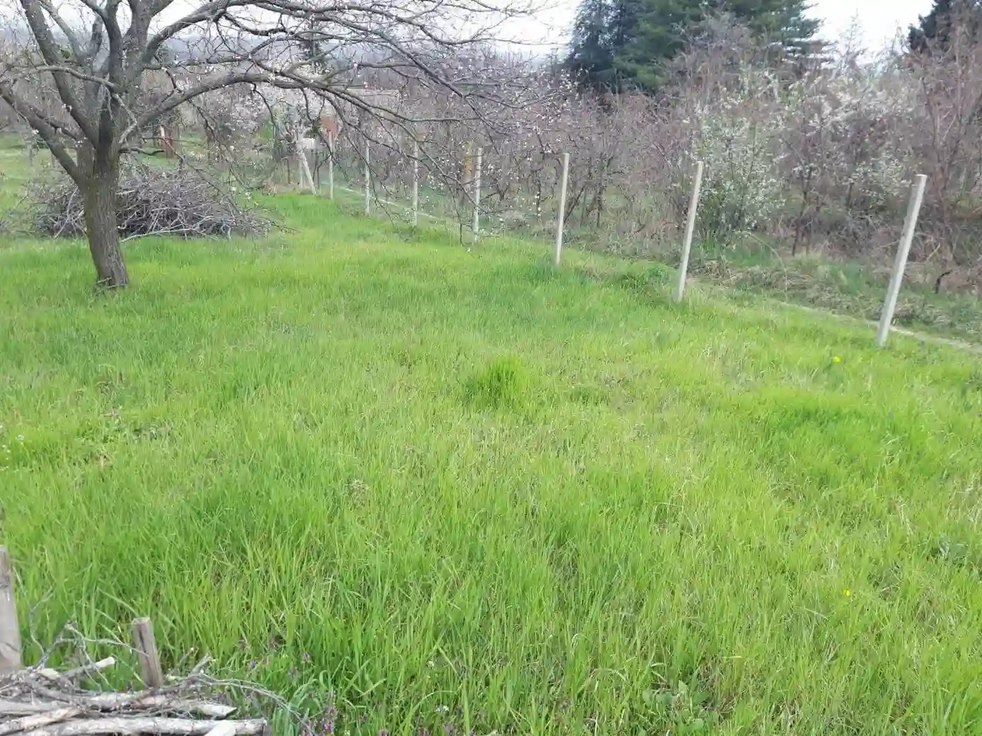 plac na prodaju Petrovaradin 895m2 566472