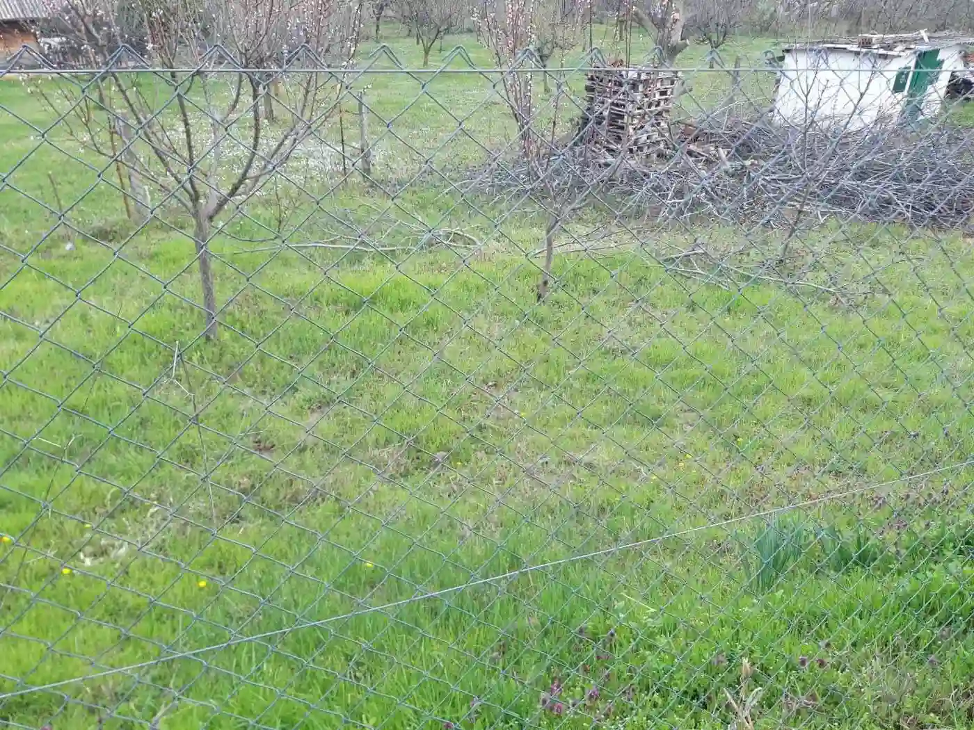 plac na prodaju Petrovaradin 895m2 566472