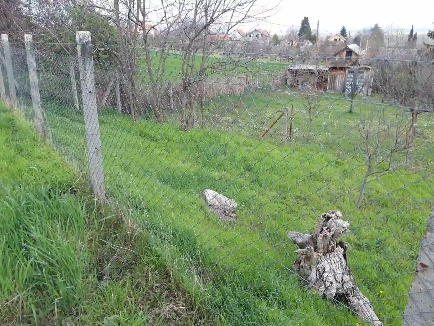 plac na prodaju Petrovaradin 895m2 566472