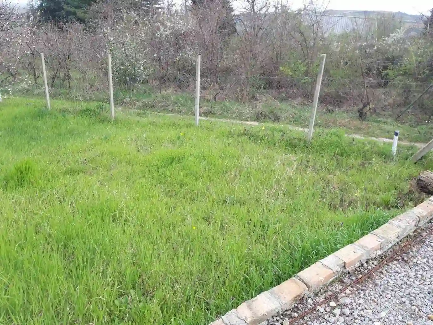 plac na prodaju Petrovaradin 895m2 566472