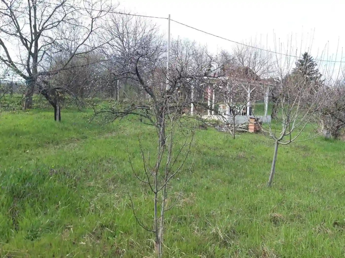 plac na prodaju Petrovaradin 895m2 566472