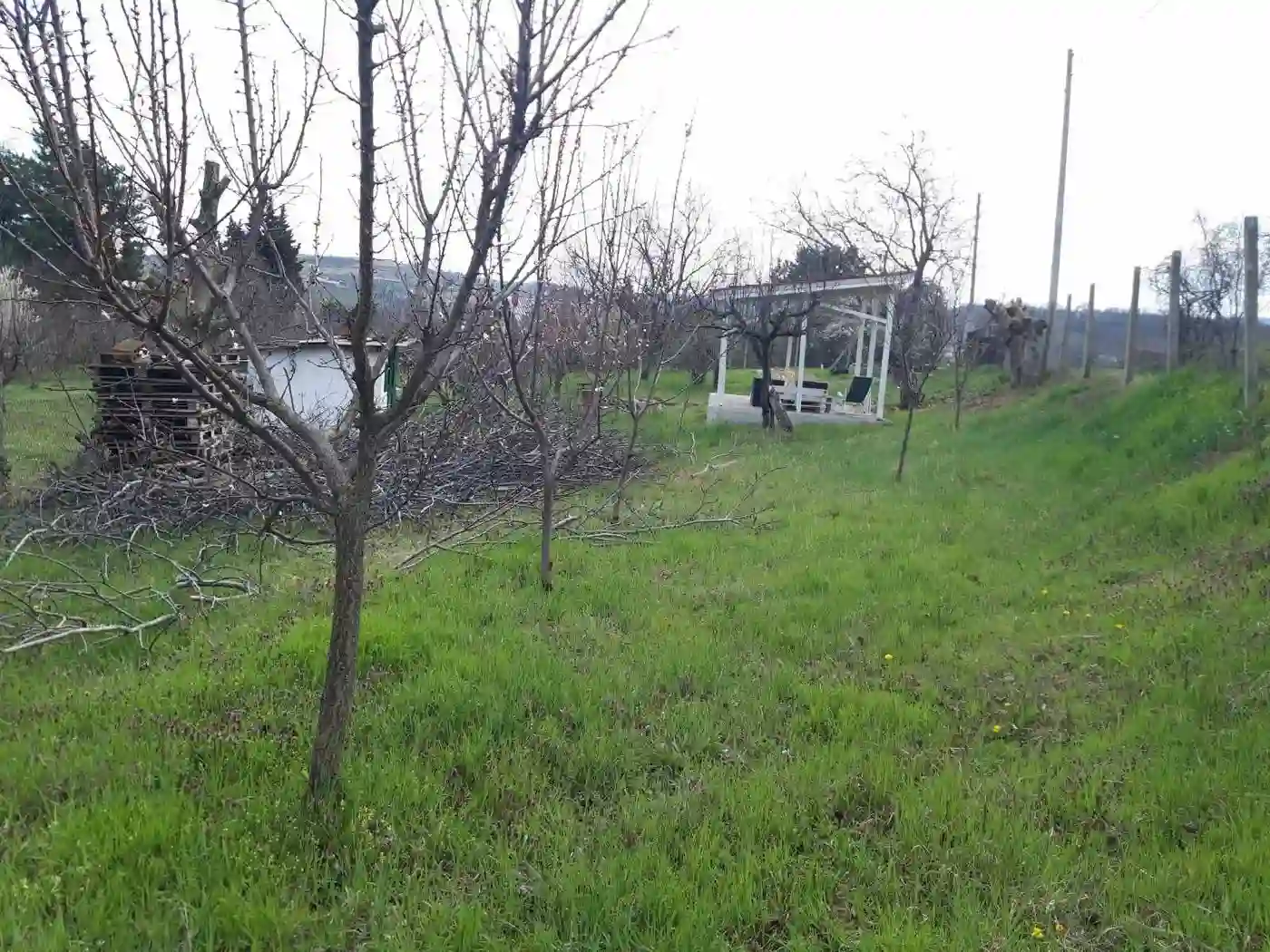 plac na prodaju Petrovaradin 895m2 566472