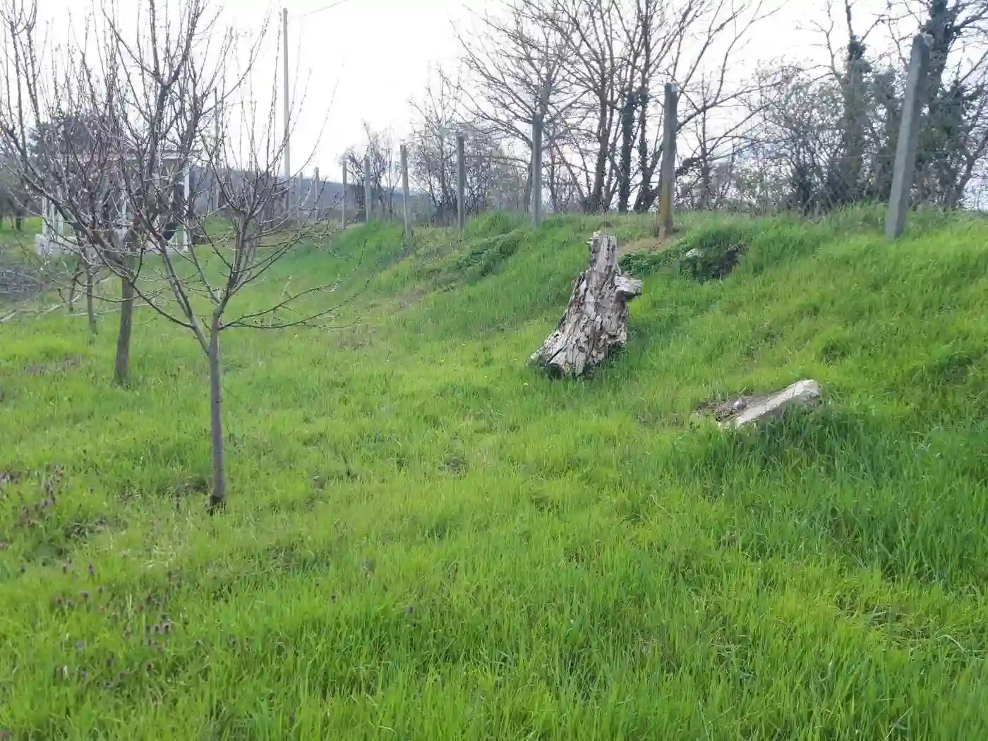 plac na prodaju Petrovaradin 895m2 566472
