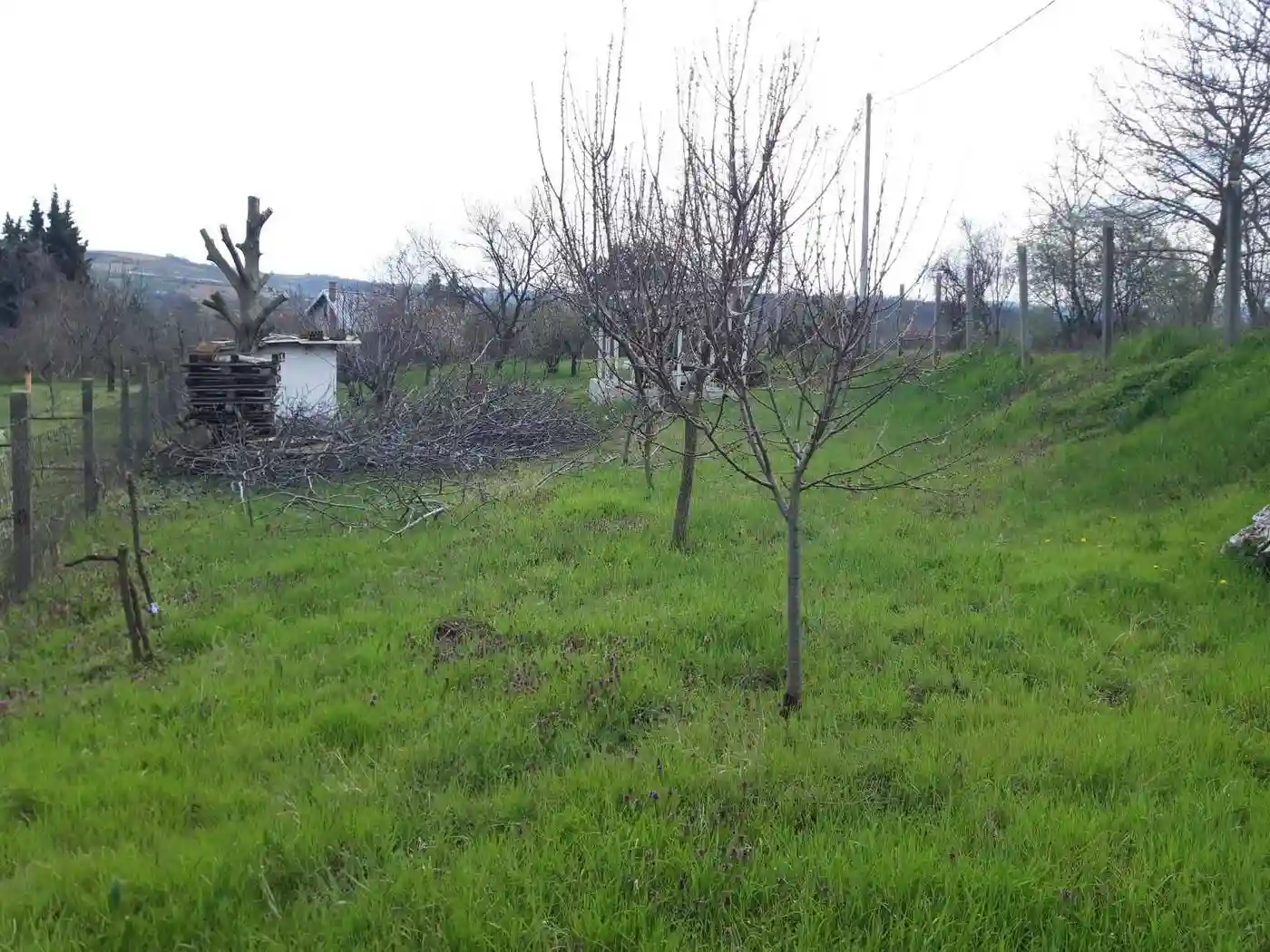 plac na prodaju Petrovaradin 895m2 566472