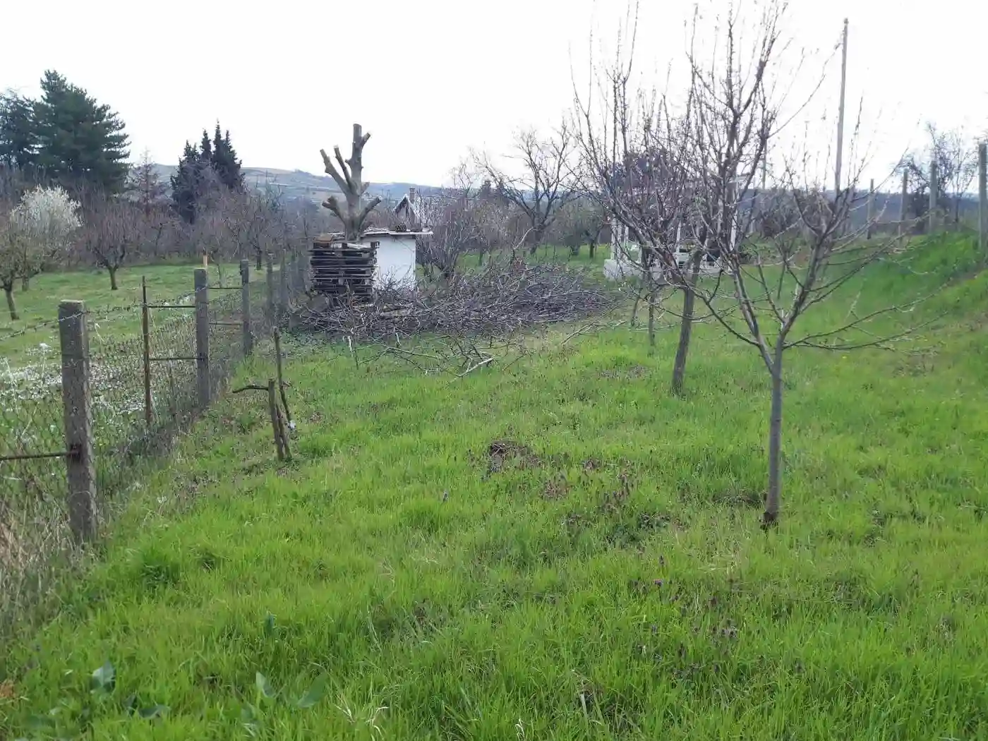plac na prodaju Petrovaradin 895m2 566472