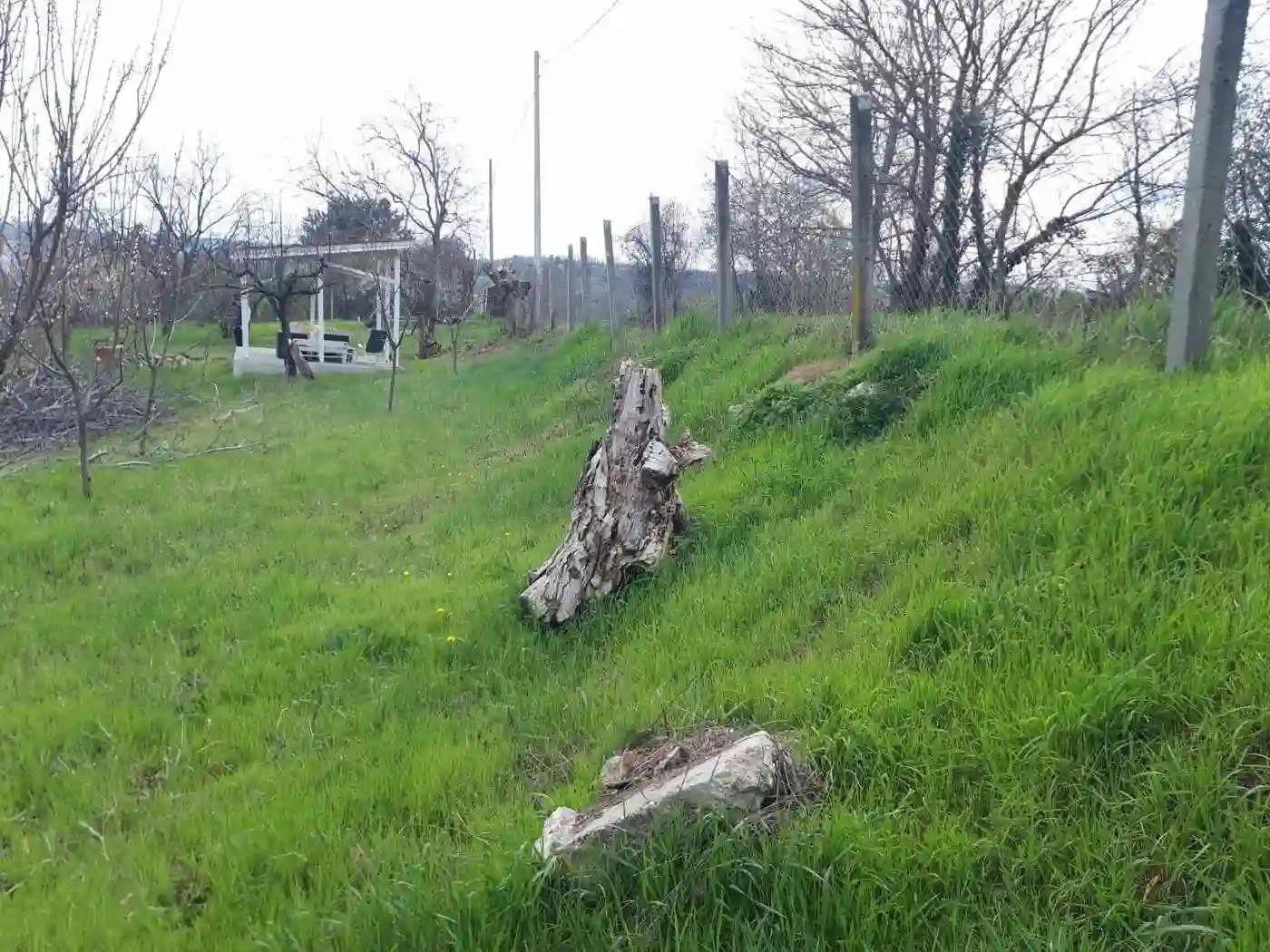 plac na prodaju Petrovaradin 895m2 566472