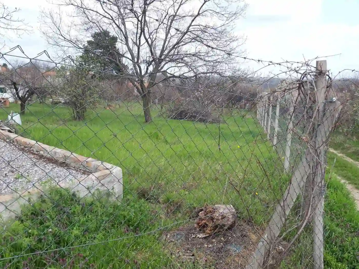 plac na prodaju Petrovaradin 895m2 566472