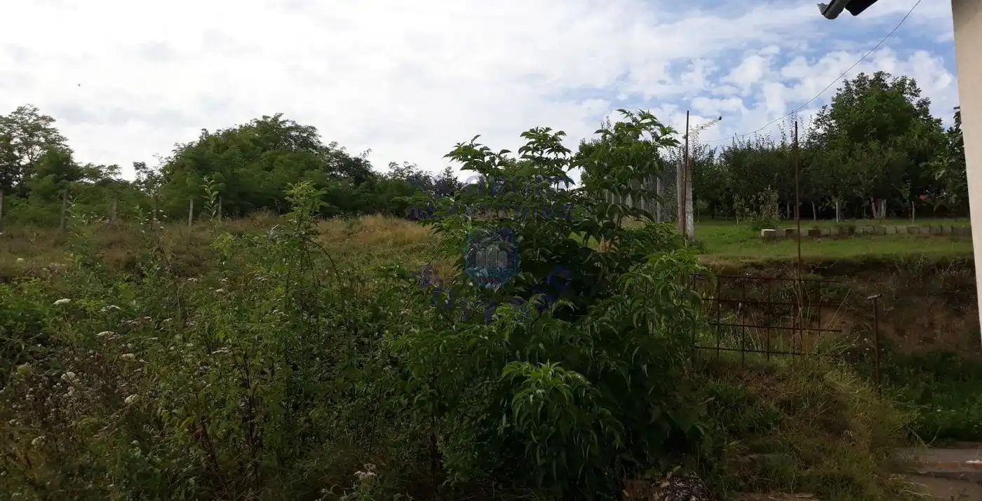 plac na prodaju Čortanovci, 728m2 566566