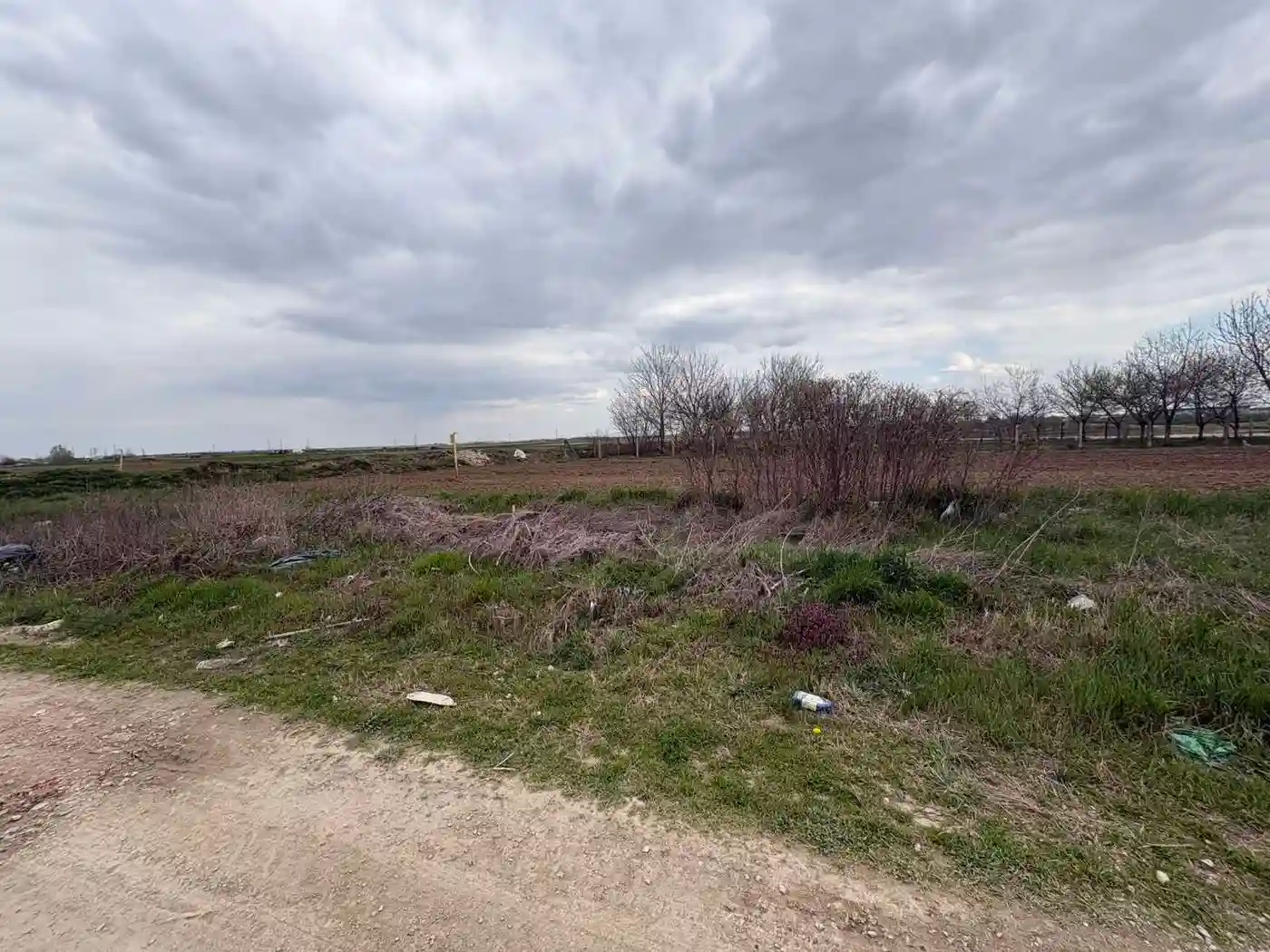 plac na prodaju Futog 1599m2 566576
