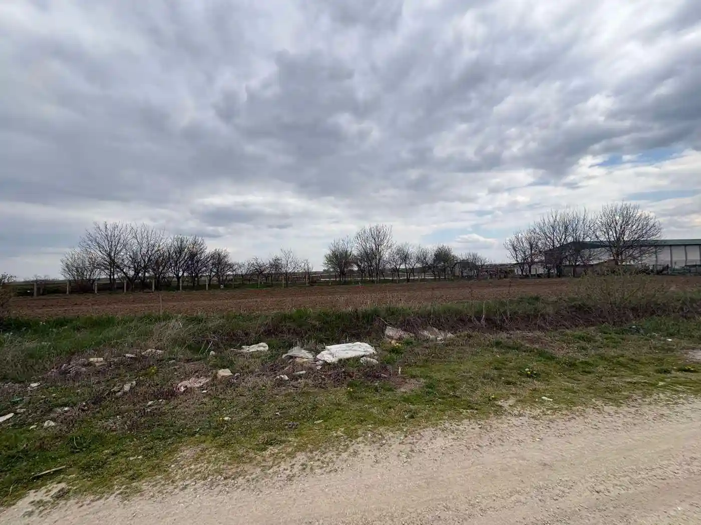 plac na prodaju Futog 1599m2 566576