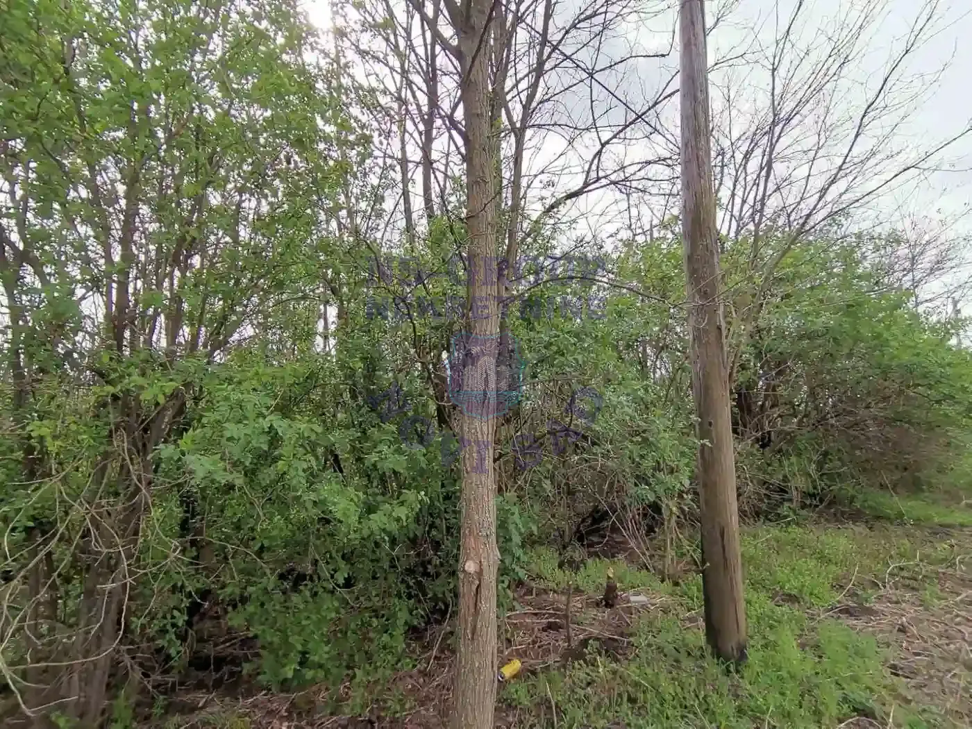plac na prodaju Čenej 3331m2 567408