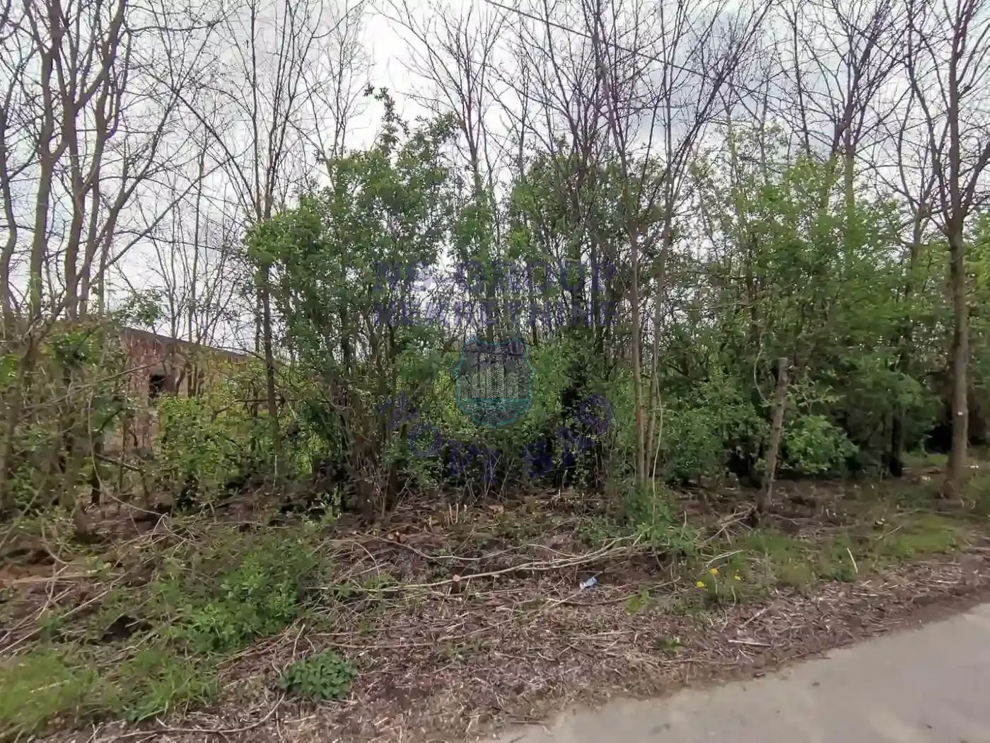 plac na prodaju Čenej 3331m2 567408