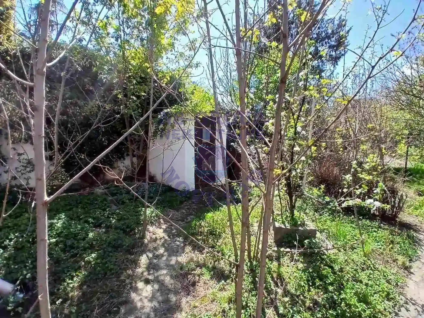 kuca na prodaju Novi Sad 155m2 565605