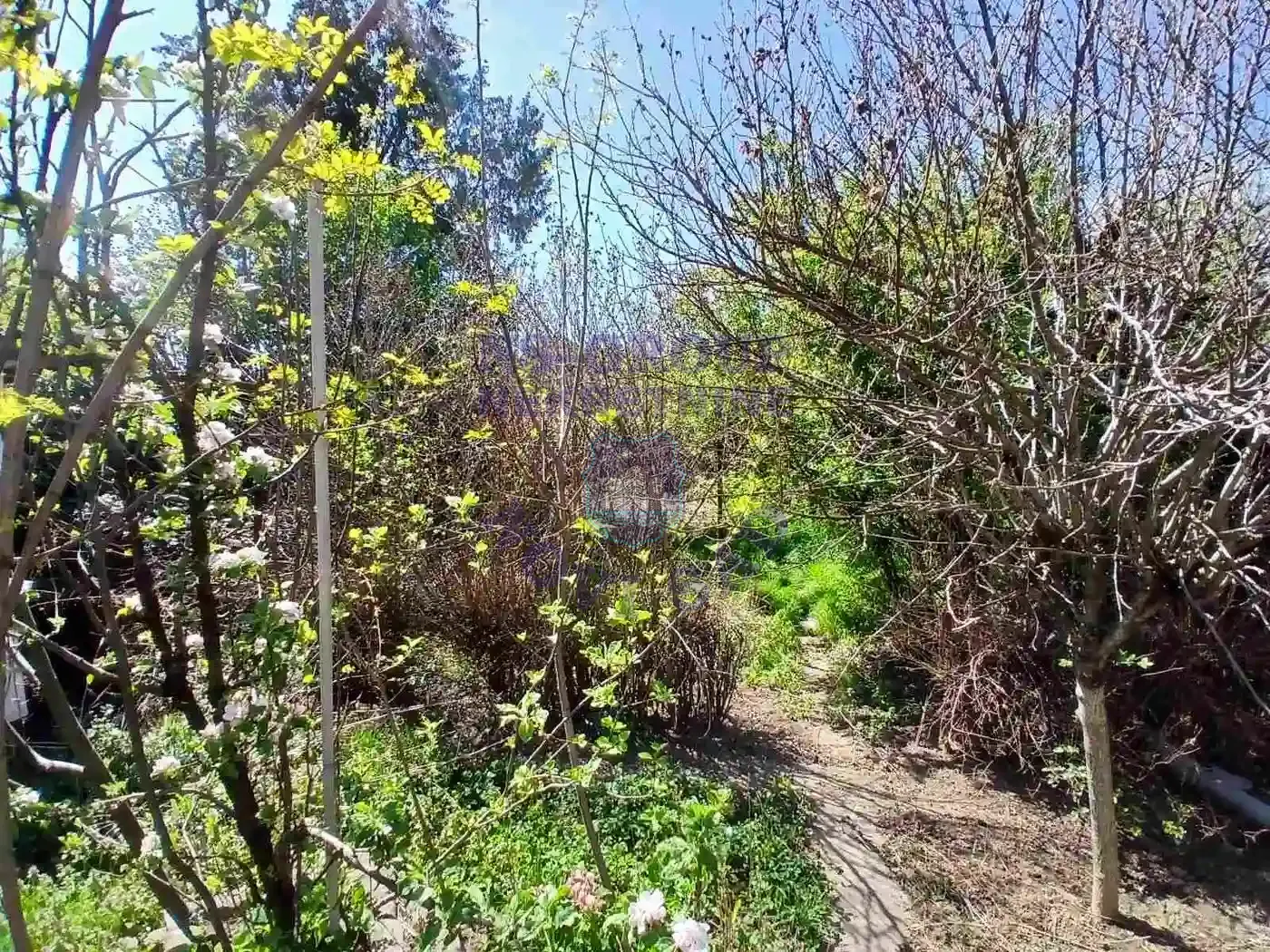 kuca na prodaju Novi Sad 155m2 565605