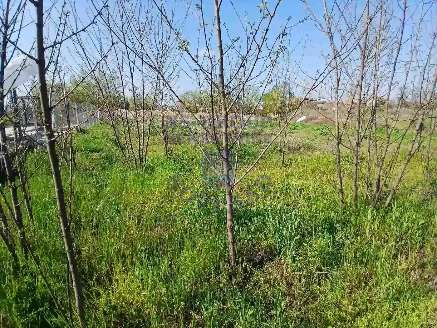 plac na prodaju Veternik 452m2 567858