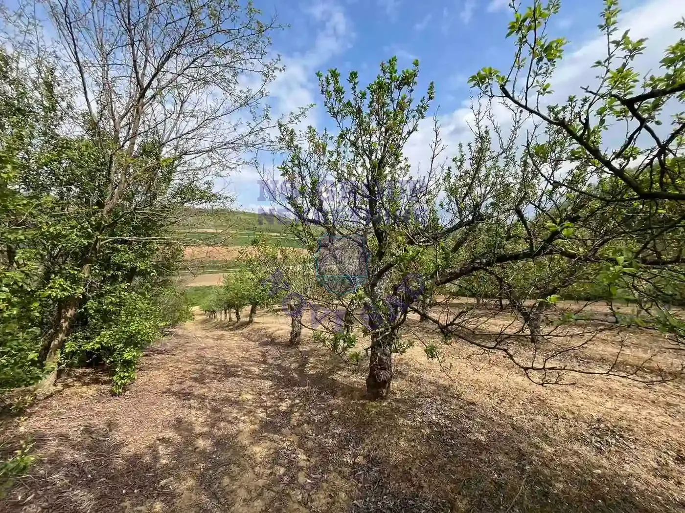plac na prodaju Beočin 8881m2 568341