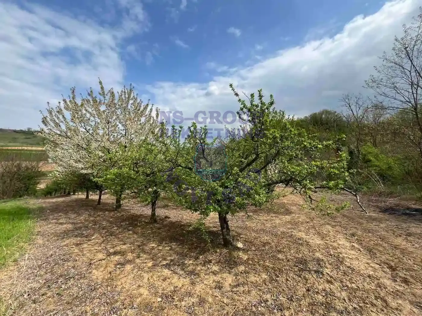 plac na prodaju Beočin 8881m2 568341