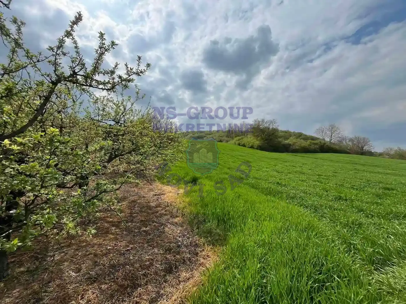 plac na prodaju Beočin 8881m2 568341