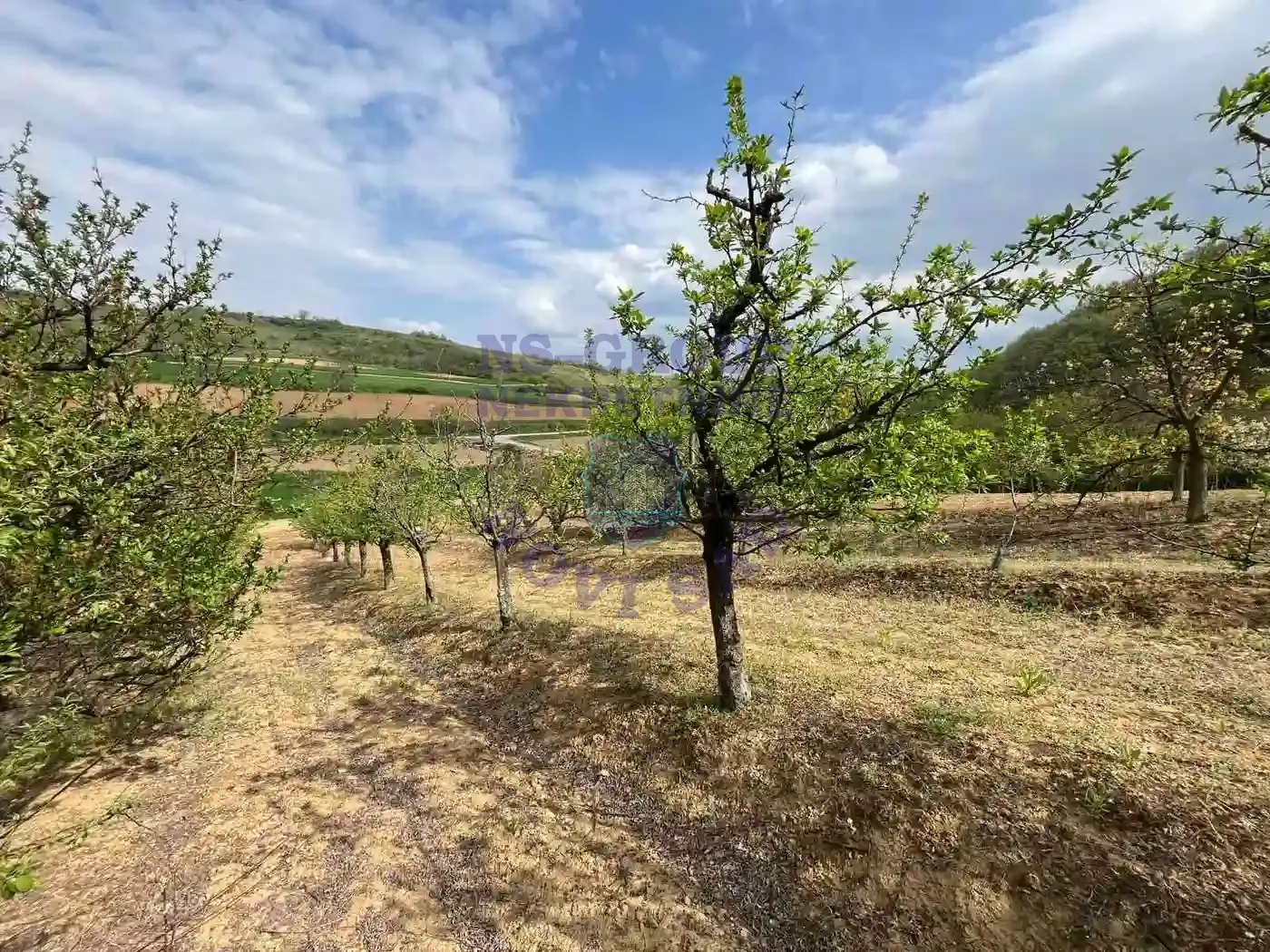 plac na prodaju Beočin 8881m2 568341