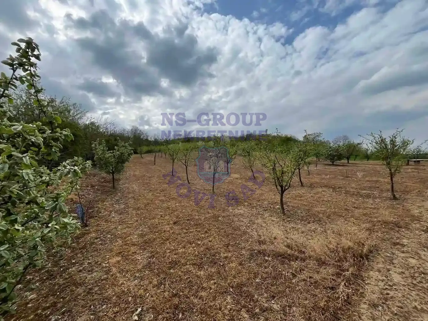 plac na prodaju Beočin 8881m2 568341