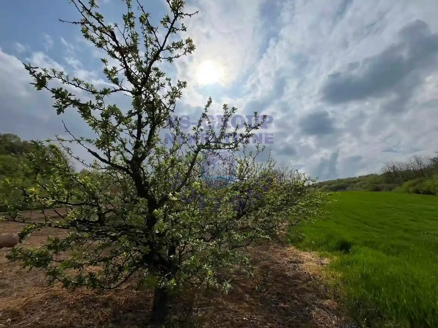 plac na prodaju Beočin 8881m2 568341