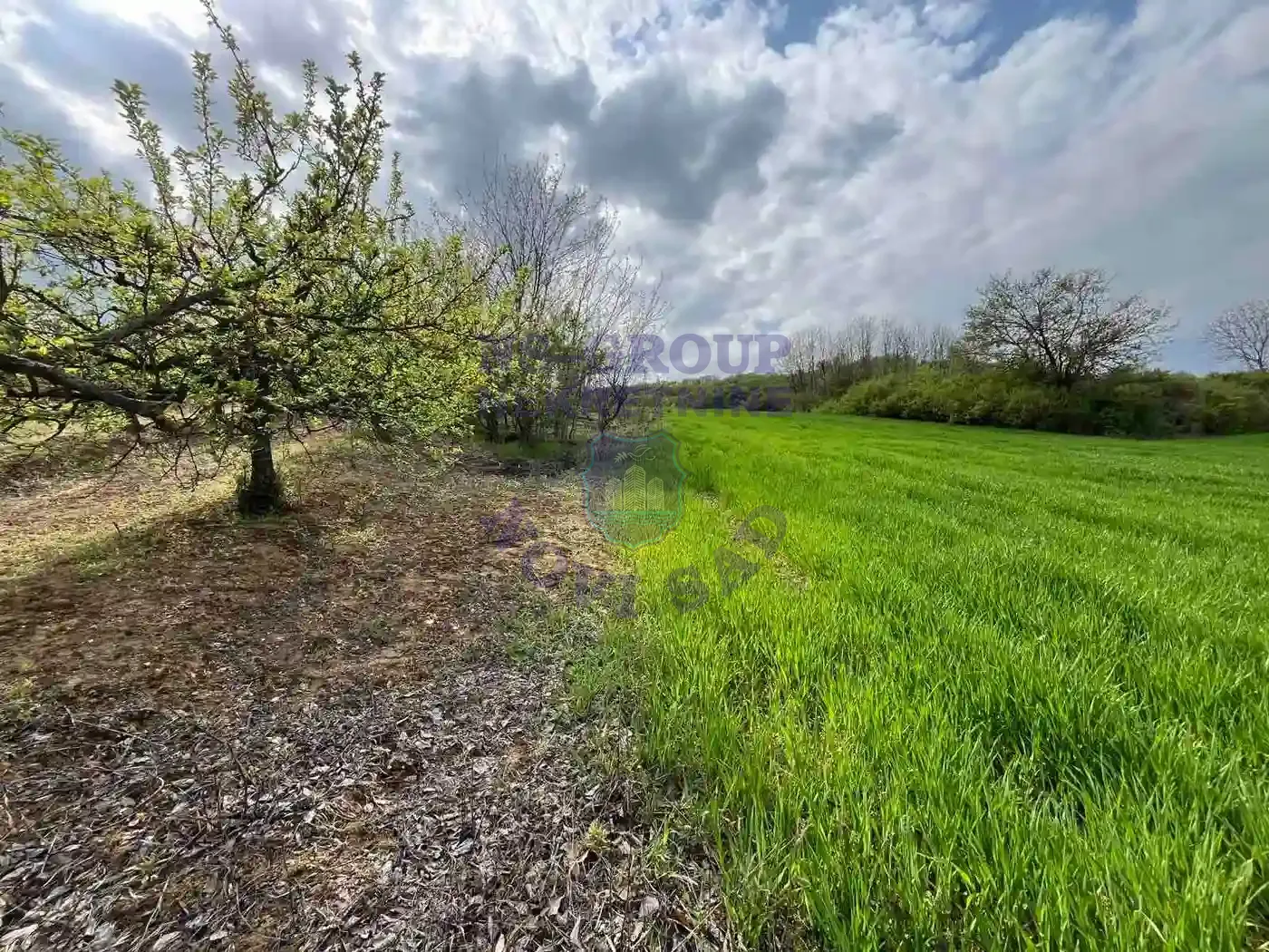 plac na prodaju Beočin 8881m2 568341