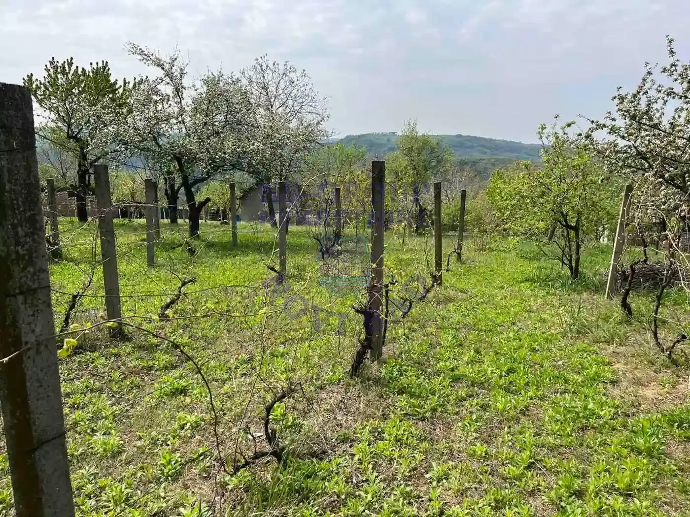 kuca na prodaju Ledinci 51m2 568231