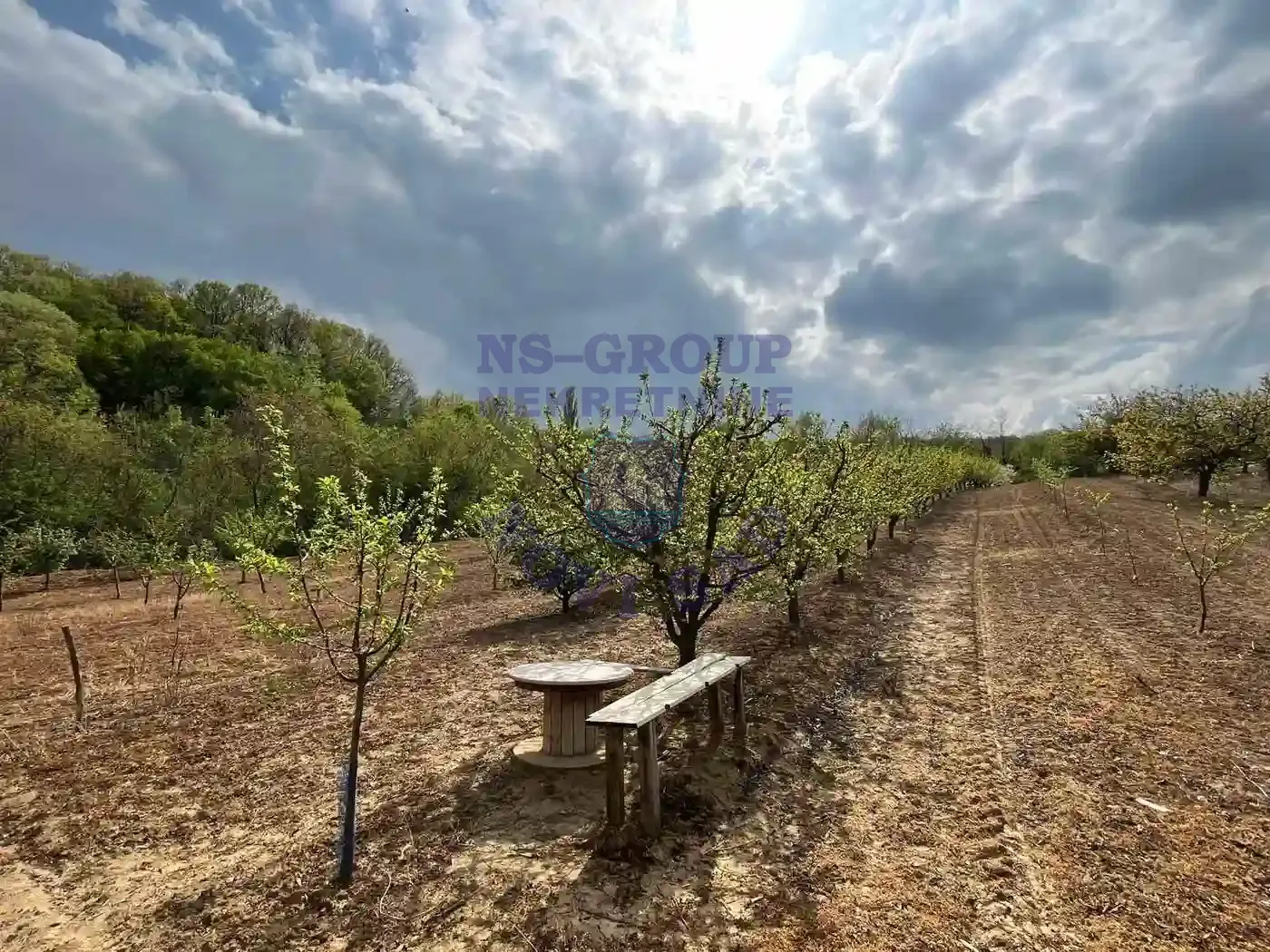 plac na prodaju Beočin 8881m2 568341