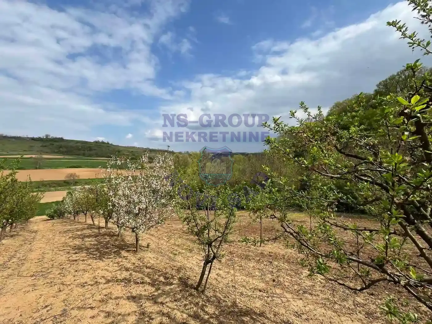 plac na prodaju Beočin 8881m2 568341