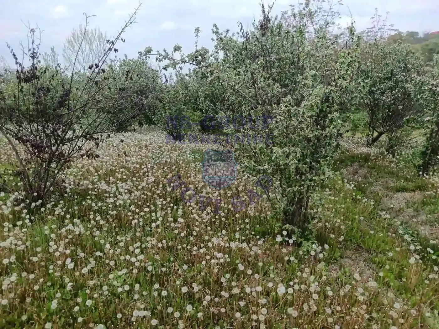 plac na prodaju Sremska Kamenica 1502m2 568167