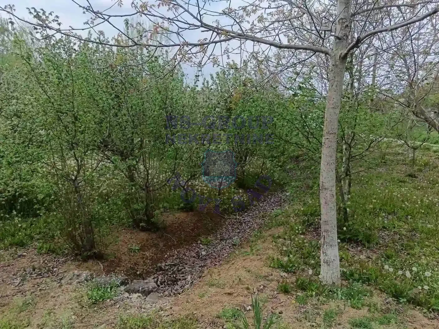 plac na prodaju Sremska Kamenica 1503m2 568166