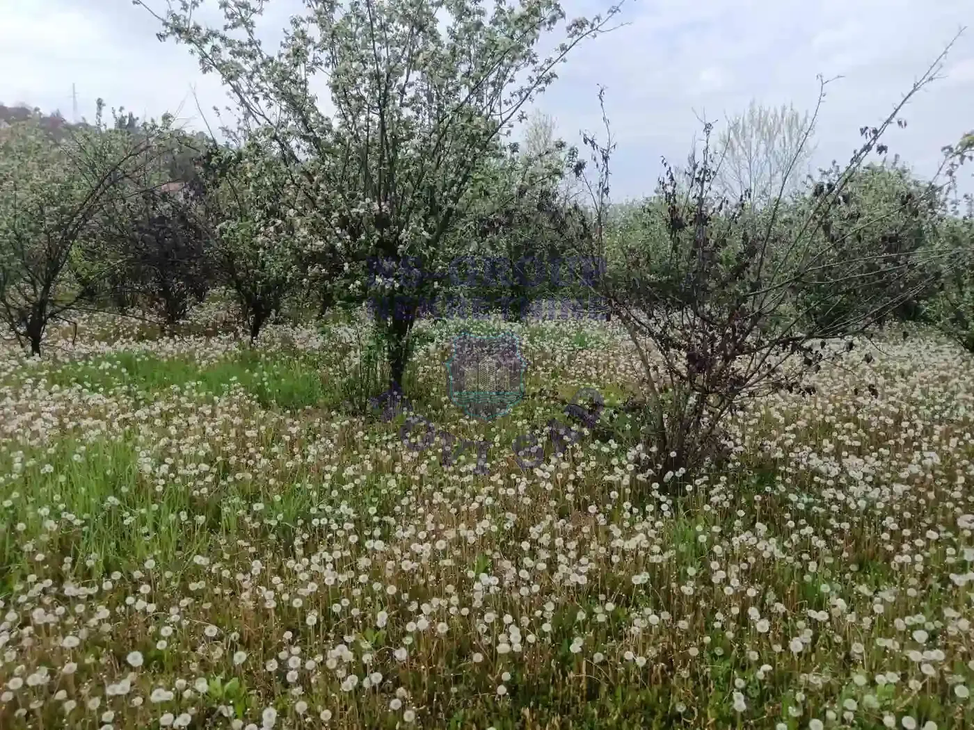 plac na prodaju Sremska Kamenica 1502m2 568167
