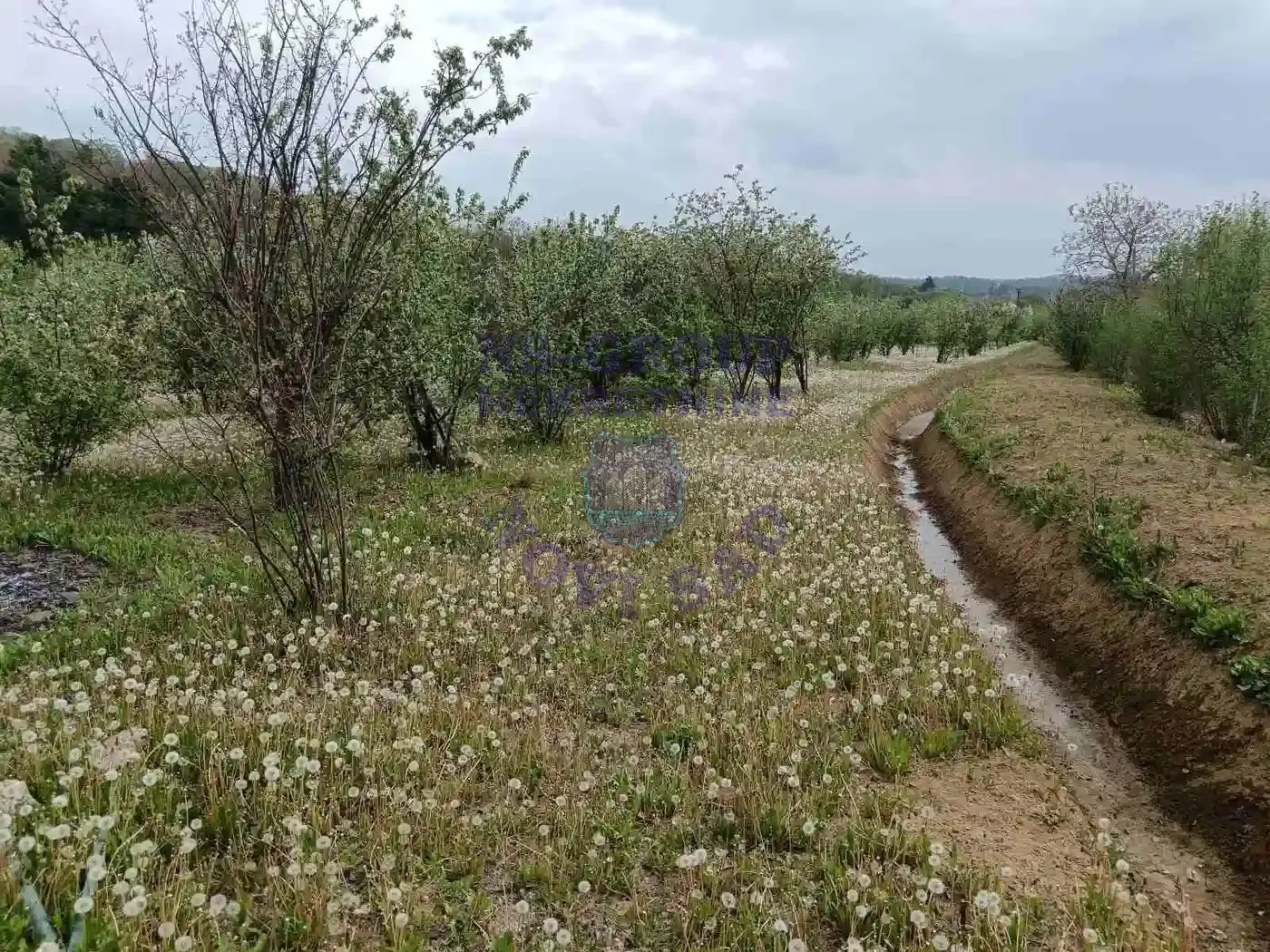 plac na prodaju Sremska Kamenica 1503m2 568166