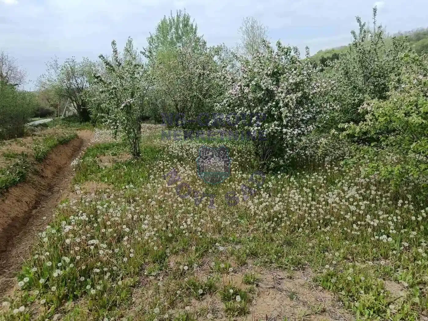 plac na prodaju Sremska Kamenica 1503m2 568166